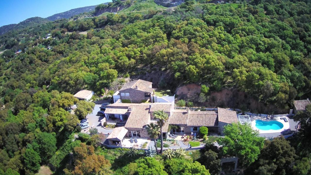 Bed and Breakfast Les Aurochs Grimaud Exterior foto